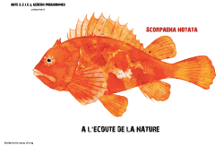 affiche_de_à_l_ecoute_de_la_nature