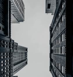 immeubles-gris