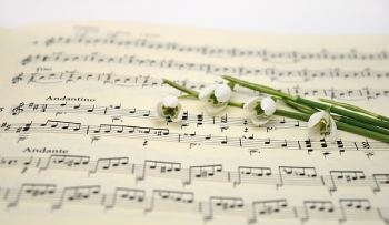 partition-de-musique-avec-fleurs-blanches