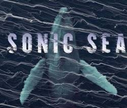 projection-documentaire-sonic-sea